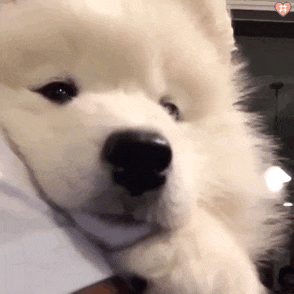 不刷人！24考研这些院校确定实行等额复试