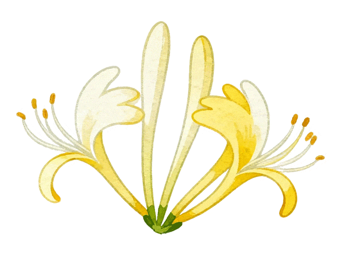 倒计时3天!26考研网上确认全流程