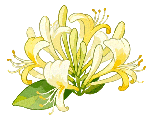 后天开始确认！各省市网报确认公告汇总