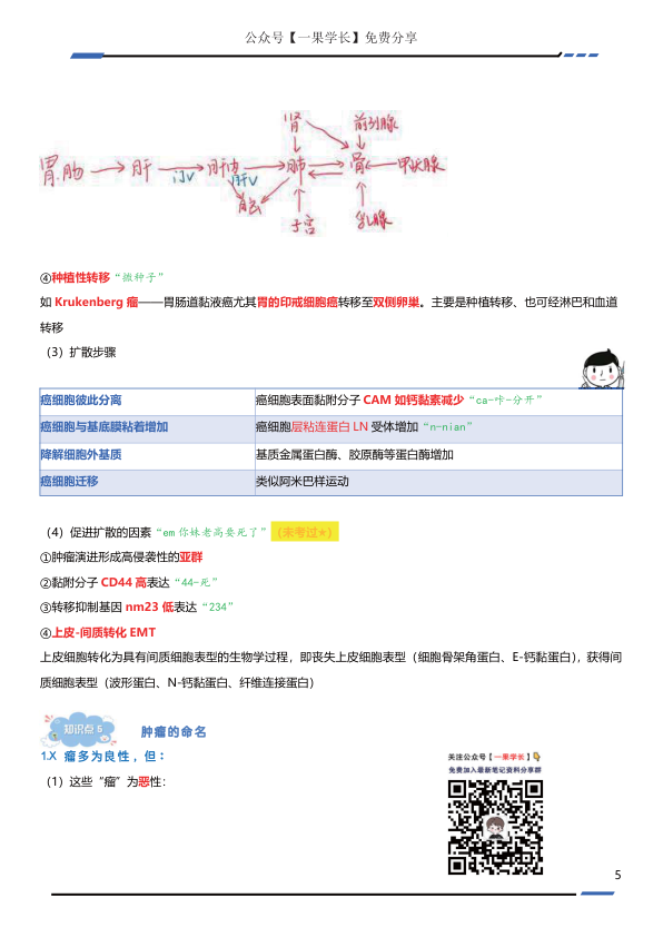 27考研西综ttsx病理浓缩笔记