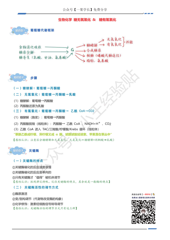 27考研西综ttsx生化浓缩笔记