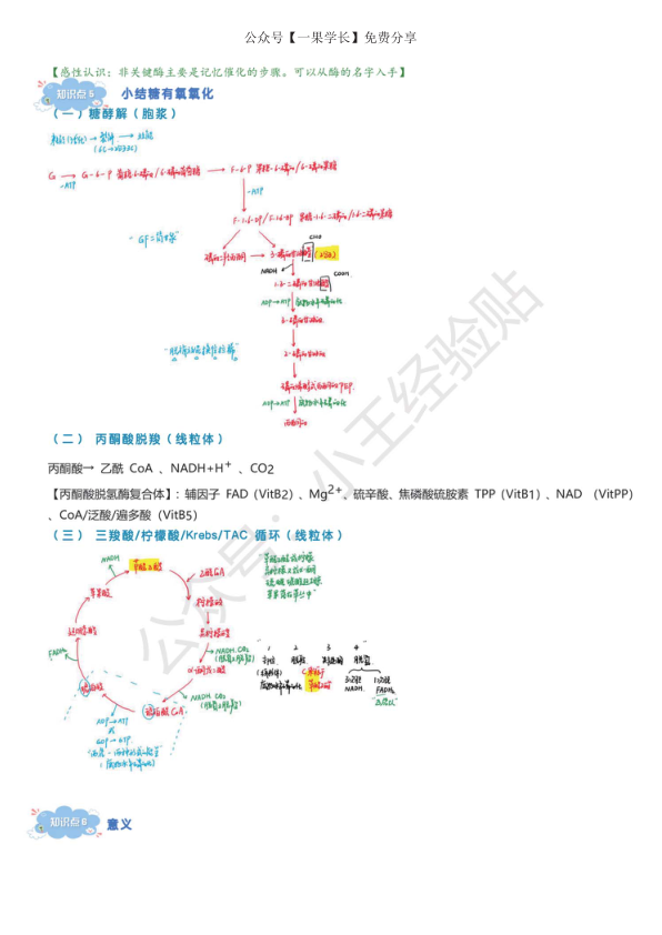 27考研西综ttsx生化浓缩笔记