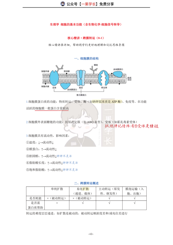 27考研西综ttsx小阮2生理跨膜转运-1笔记