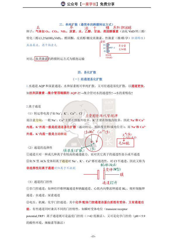 27考研西综ttsx小阮2生理跨膜转运-1笔记
