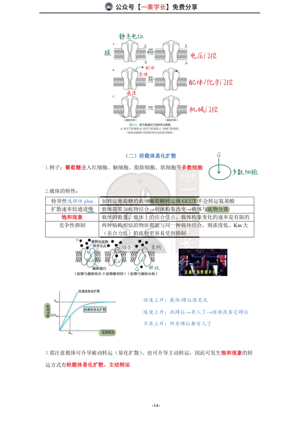 27考研西综ttsx小阮2生理跨膜转运-1笔记