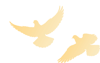 复试时间确定！26考研首批复试分数线发布