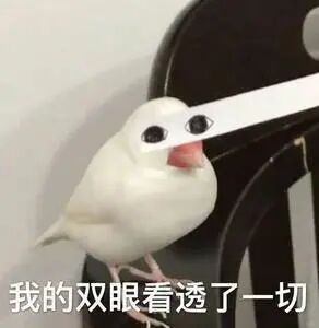 7校官宣：不用提前联系导师！