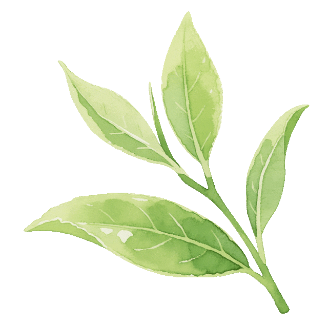 2026中国大学排名发布！