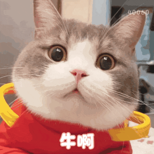 最早4月8号开始调剂！多校已明确线上复试