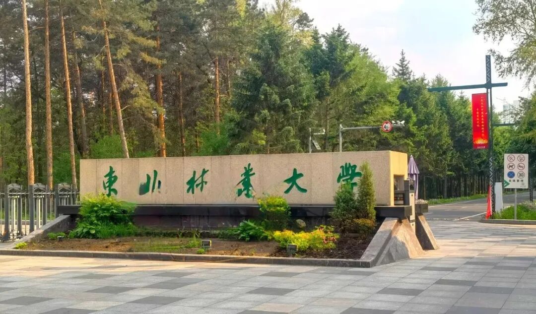 这14所211高校未能挤进全国前100......