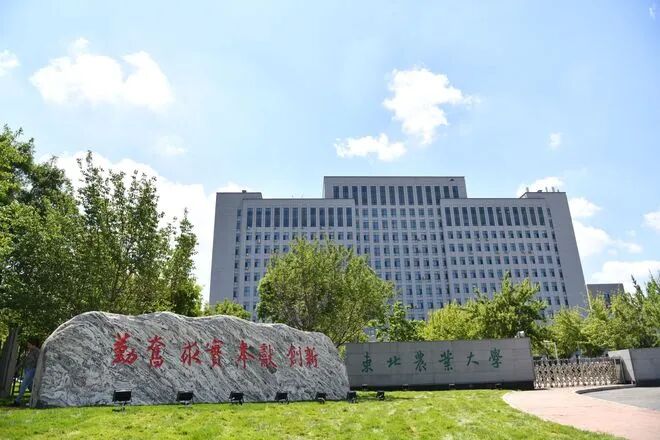 这14所211高校未能挤进全国前100......