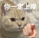 80266312-3408-4586-9ae9-c220d1a4ccd2.png