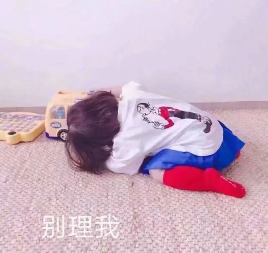 211院校推荐!一志愿报考热度不高但调剂炸了...