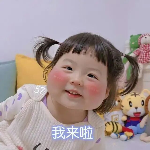 最新发布!多所院校发布27考研专业目录!