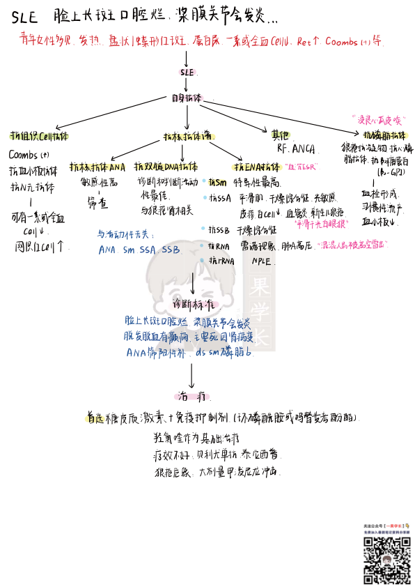 27考研西综内科风湿系统理顺知识点