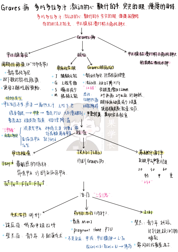27考研西综内分泌系统理顺知识点