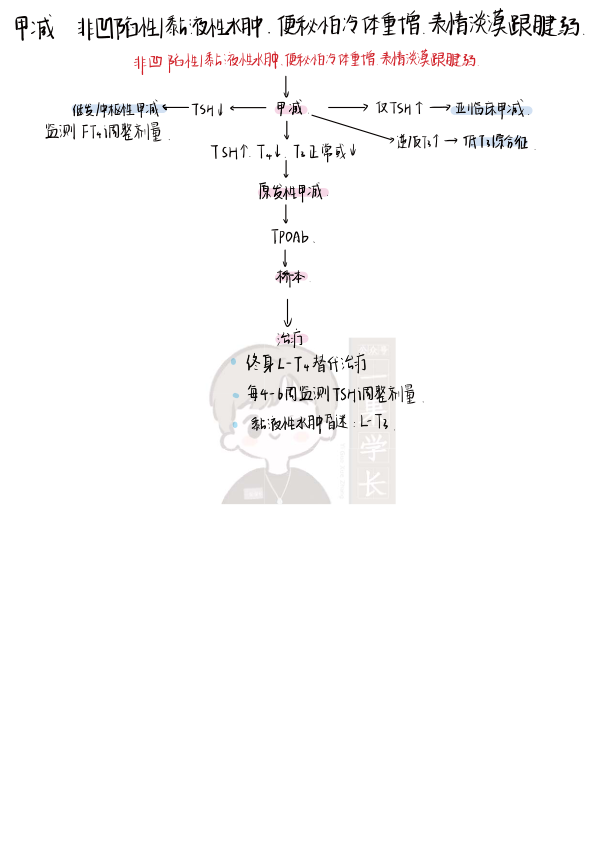 27考研西综内分泌系统理顺知识点