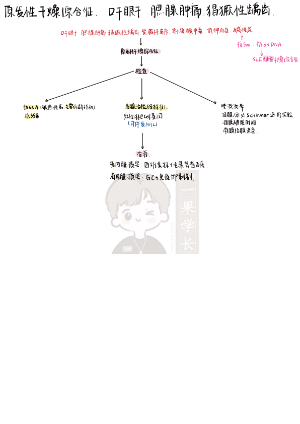 27考研西综内科风湿系统理顺知识点