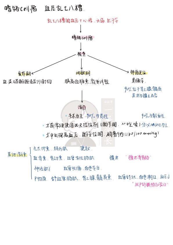 27考研西综内分泌系统理顺知识点