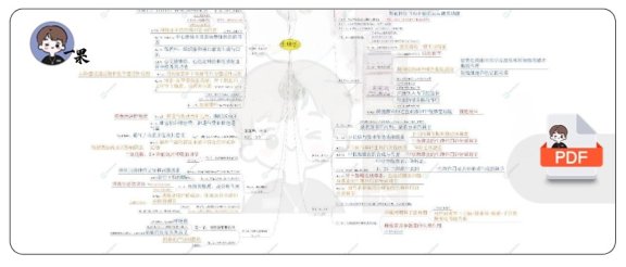 26考研西综启航生理学思维导图