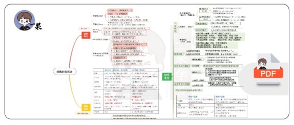 26考研西综医客生理学细胞生物电思维导图