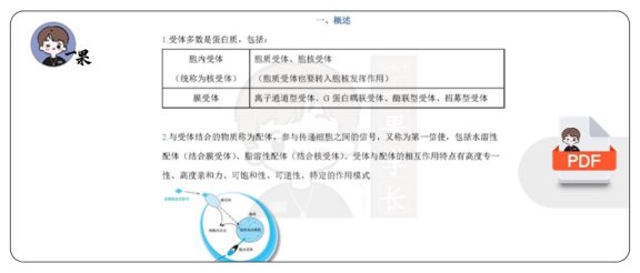 26考研西综填空式讲义细胞信号转导（天天师兄）