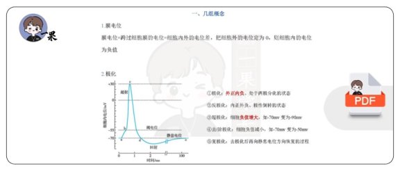 26考研西综填空式讲义生理细胞电活动 （天天师兄）