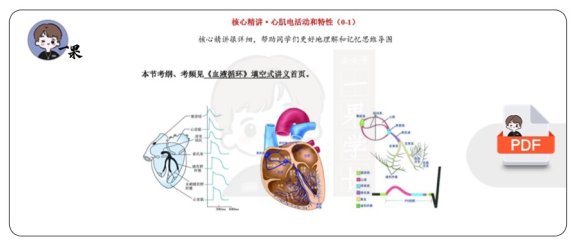 26考研西综填空式讲义生理心肌电活动和特性（天天师兄）