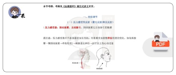 26考研西综填空式讲义生理心血管调节（天天师兄）