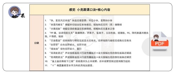 26考研西综小亮感觉生理口诀＋核心内容总结