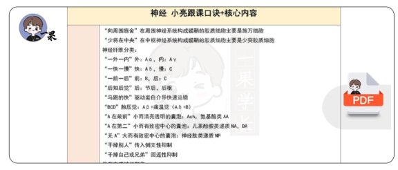 26考研西综生理神经小亮口诀＋核心内容