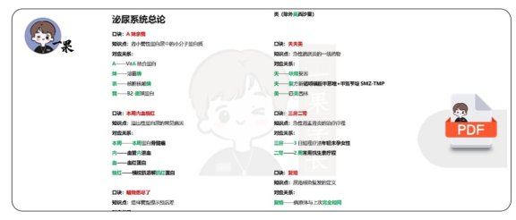 26考研西综泌尿系统口诀天天师兄