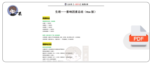 27考研西综ttsx生理影响因素总结