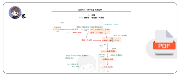 27考研西综生化以图带动知识点