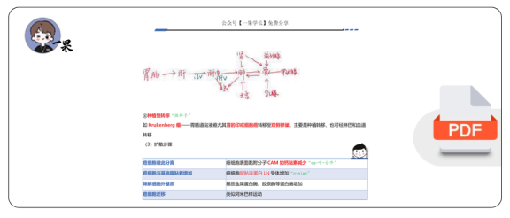 27考研西综ttsx病理浓缩笔记