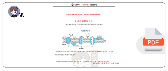 27考研西综ttsx小阮2生理跨膜转运-1笔记