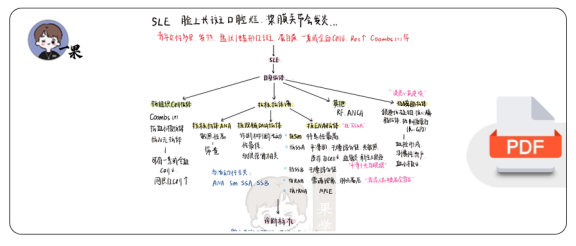 27考研西综内科风湿系统理顺知识点